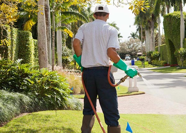About Bosque Farms NM Pest Control